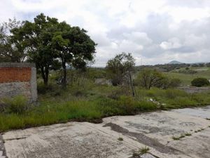 Terreno en Venta en Guadalupe Victoria Valsequillo Puebla