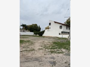 Terreno en Venta en Nogalar del Campestre Saltillo