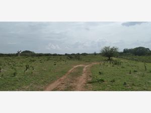 Finca/Rancho en Venta en Piedras Negras Tlalixcoyan