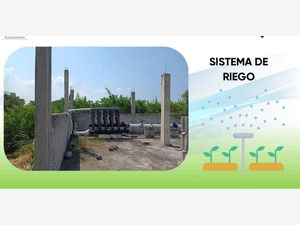 Terreno en Venta en Jicaltepec Nautla