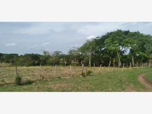 Finca/Rancho en Venta en Piedras Negras Tlalixcoyan