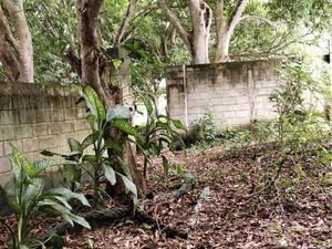 Terreno en Venta en El Zapote Alvarado