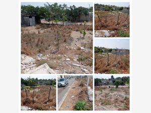 Terreno en Venta en El Fenix Veracruz