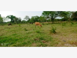 Finca/Rancho en Venta en Moralillo Medellín de Bravo