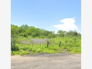 Terreno en Venta en Delfino Victoria (santa Fe) Veracruz