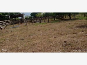 Finca/Rancho en Venta en Moralillo Medellín de Bravo