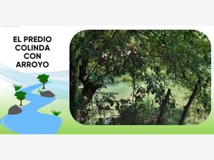 Terreno en Venta en Jicaltepec Nautla