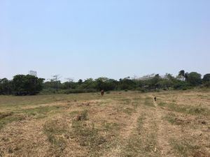 Finca/Rancho en Venta en Bajos del Jobo (Puente Moreno) Veracruz