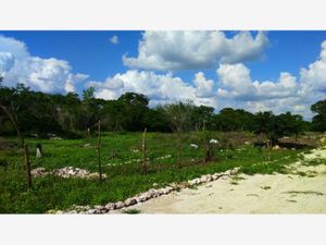 Terreno en Venta en Izamal Izamal