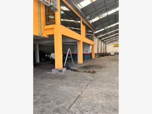 Bodega en Renta en Francisco Villa Veracruz