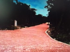 Terreno en Venta en Ya Ax Tulum Tulum