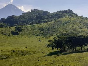 Terreno en Venta en Cofradia de Suchitlan Comala