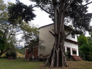 Finca/Rancho en Venta en La Nogalera Comala