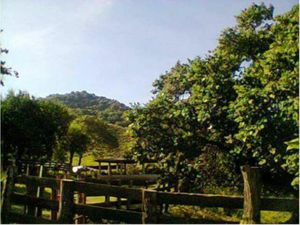 Finca/Rancho en Venta en Cofradía de Juárez Armería