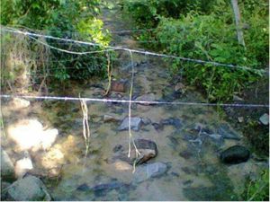 Finca/Rancho en Venta en Cofradía de Juárez Armería