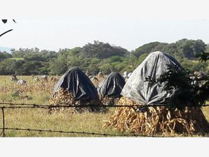 Terreno en Venta en Cuauhtemoc Cuauhtémoc