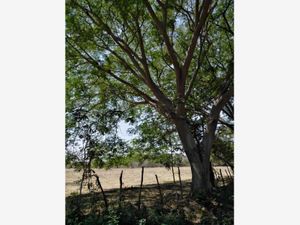 Terreno en Venta en La Estancia Colima