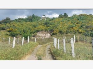 Finca/Rancho en Venta en El Naranjal Villa de Álvarez