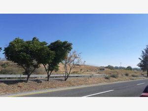 Terreno en Venta en Tonila Tonila