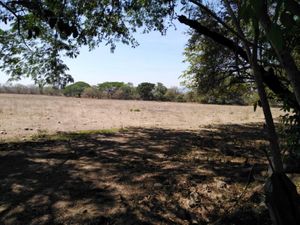 Terreno en Venta en La Estancia Colima