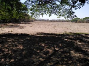 Terreno en Venta en La Estancia Colima