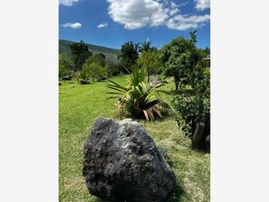 Finca/Rancho en Venta en El Paraiso Huaquechula