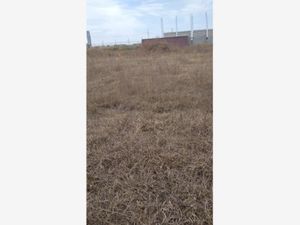 Terreno en Venta en San Bernardino Tlaxcalancingo San Andrés Cholula