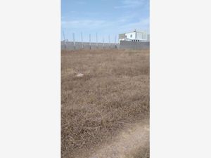 Terreno en Venta en San Bernardino Tlaxcalancingo San Andrés Cholula