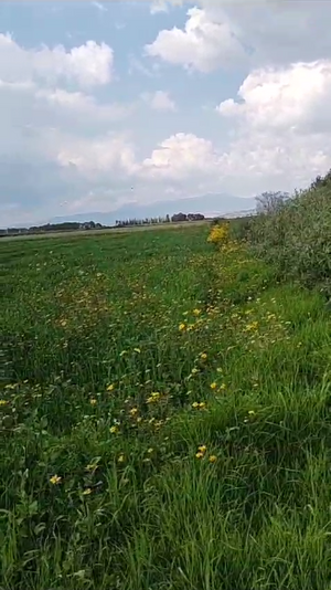 TERRENO EN VENTA EN LERMA