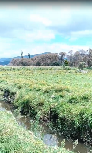 TERRENO EN LERMA