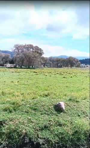 TERRENO EN LERMA