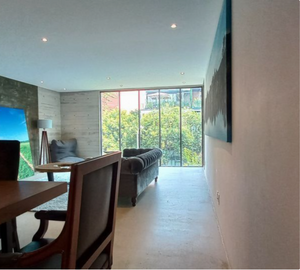 DEPARTAMENTO EN VENTA POLANCO