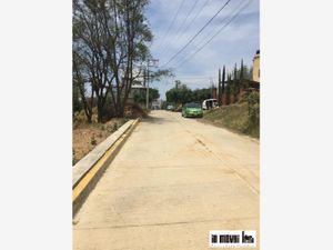 Terreno en Venta en Loma San Antonio San Andrés Huayapam