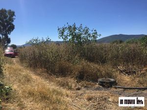 Terreno en Venta en San Jeronimo Tlacochahuaya San Jerónimo Tlacochahuaya