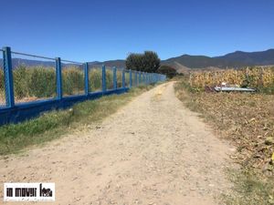 Terreno en Venta en San Jeronimo Tlacochahuaya San Jerónimo Tlacochahuaya