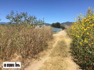 Terreno en Venta en San Jeronimo Tlacochahuaya San Jerónimo Tlacochahuaya