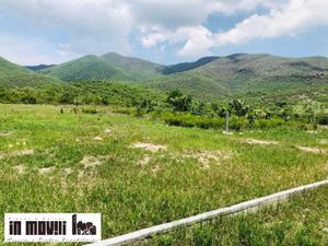 Terreno en Venta en Santa Maria del Tule Santa María del Tule