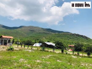 Terreno en Venta en Santa Maria del Tule Santa María del Tule