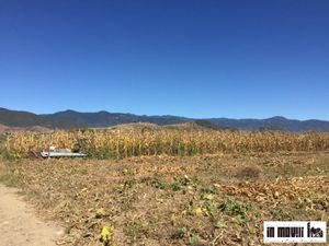 Terreno en Venta en San Jeronimo Tlacochahuaya San Jerónimo Tlacochahuaya