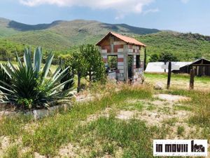 Terreno en Venta en Santa Maria del Tule Santa María del Tule