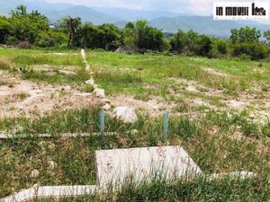 Terreno en Venta en Santa Maria del Tule Santa María del Tule