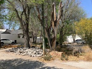 Terreno en Venta en Rincon del Montero Parras