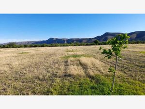 Finca/Rancho en Venta en Nuevo Poblado de Nadadores (El Huizachal) Nadadores