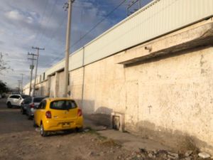 Bodega en Renta en Luis Horacio Salinas Torreón