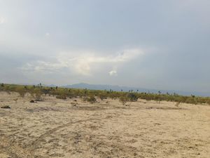 Terreno en Venta en Nacapa (Nuevo Nacapa) Ramos Arizpe