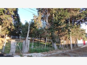 Terreno en Venta en Las Delicias Atlautla