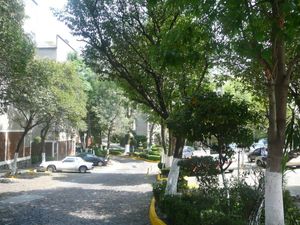 Departamento en Venta en Tlalcoligia Tlalpan