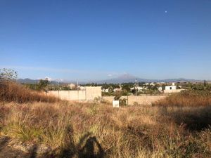 Terreno en Venta en Oaxtepec Centro Yautepec