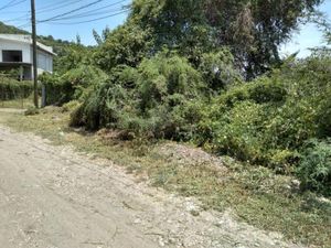 Terreno en Venta en Ticumán Tlaltizapán de Zapata