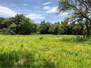 Terreno en Venta en San Andrés de la Cal Tepoztlán